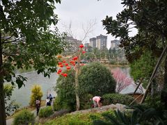 -枫香湖儿童公园