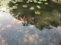 -晓港公园