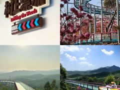 -盈香心动乐园
