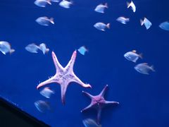 -沈阳海洋探索中心