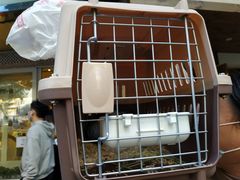 -龙猫仔乐园(惠福东路店)