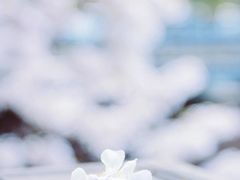 -红星桥(地铁站)