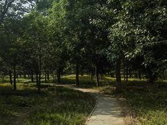 -天元公园