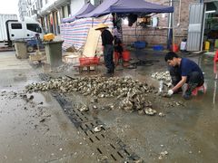 -蚝专家(北滘店)