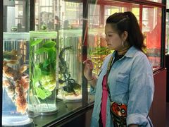 -广东中医药博物馆