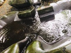 -成都市活水公园