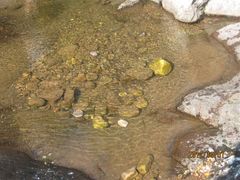 -洛阳白云山景区