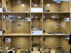 -屋虎猫馆(宝安大仟里店)