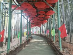 -陶祖圣境风景区
