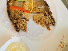 -骏莱海鲜鱼港(五角场店)