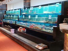 水产区-南海渔家•海鲜•正宗海南菜(海棠湾店)