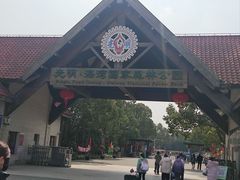 -上海海湾国家森林公园