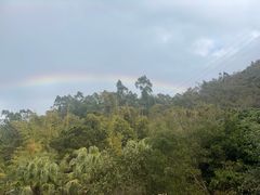 -泉州海丝野生动物世界