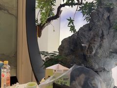 -淮扬府·游园京梦(北京SKP店)