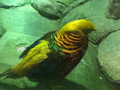 -福州罗源湾海洋世界旅游区