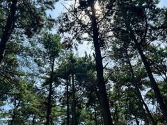 -长春净月潭风景名胜区