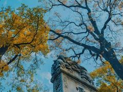 -灵谷景区