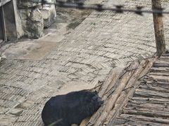 -黔灵山公园