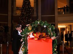 -深圳星河丽思卡尔顿酒店