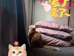 -9A青年公寓(深圳罗湖口岸店)