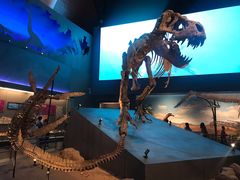 -贝林大翅鲸简餐厅(国家海洋博物馆店)