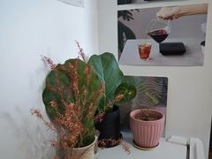 -纽巷咖啡 SOFTFOCUS COFFEE(锦和巴黎时韵店)