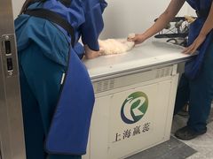 -玖佳宠物医院·泌尿·骨科·中老年病