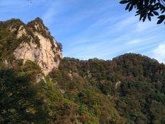 -王顺山国家森林公园