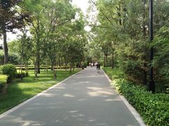 -迎泽公园