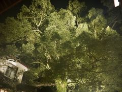 -普陀山雷迪森庄园
