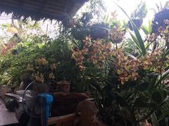 -自然餐厅(Phuket)