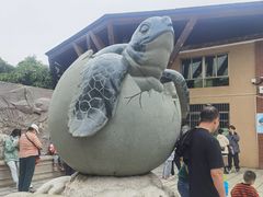 -广东惠东海龟国家级自然保护区