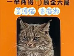 -青藏高原野生动物园