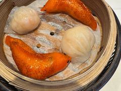-翠园(北京王府中环店)
