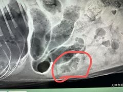 -天津前进宠物医院(前进道店)