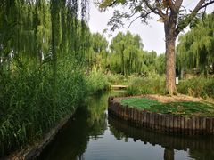 -三里河公园