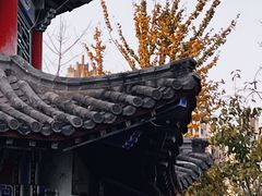 -燕郊植物园