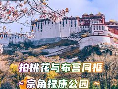 -宗角禄康公园