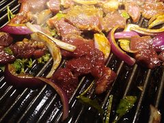 -燚店·铁板鱼蛙·烤肉·烤串(北新桥店)