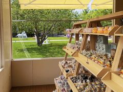 -春晖园度假酒店温泉