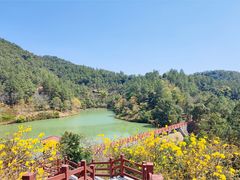 -广州白江湖森林公园