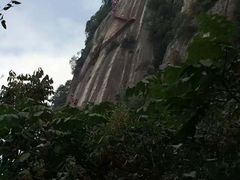 -陕西省红河谷森林公园