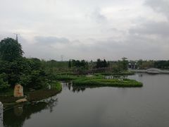 -映月湖公园