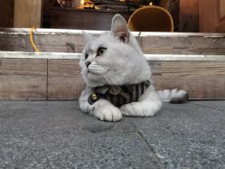 -青木造型HAIR·あおき髪を刈る潮人店