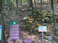 -莫干山风景区