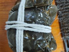 -阳澄湖大闸蟹·琼灵阁牌品牌连锁(吴中总店)