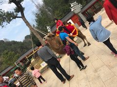 -马口生态公园
