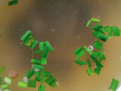 牛杂汤-清真蒋有记(老门东店)