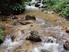 -莫里热带雨林景区