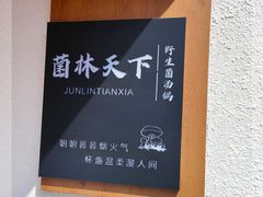 -菌林天下·野生菌汤锅